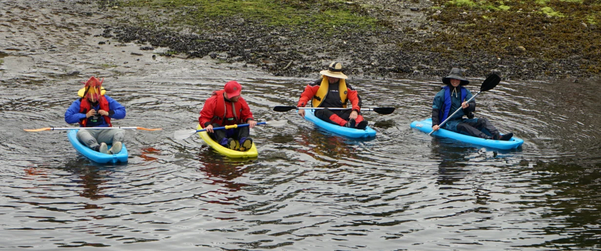 Pelican_race_2022