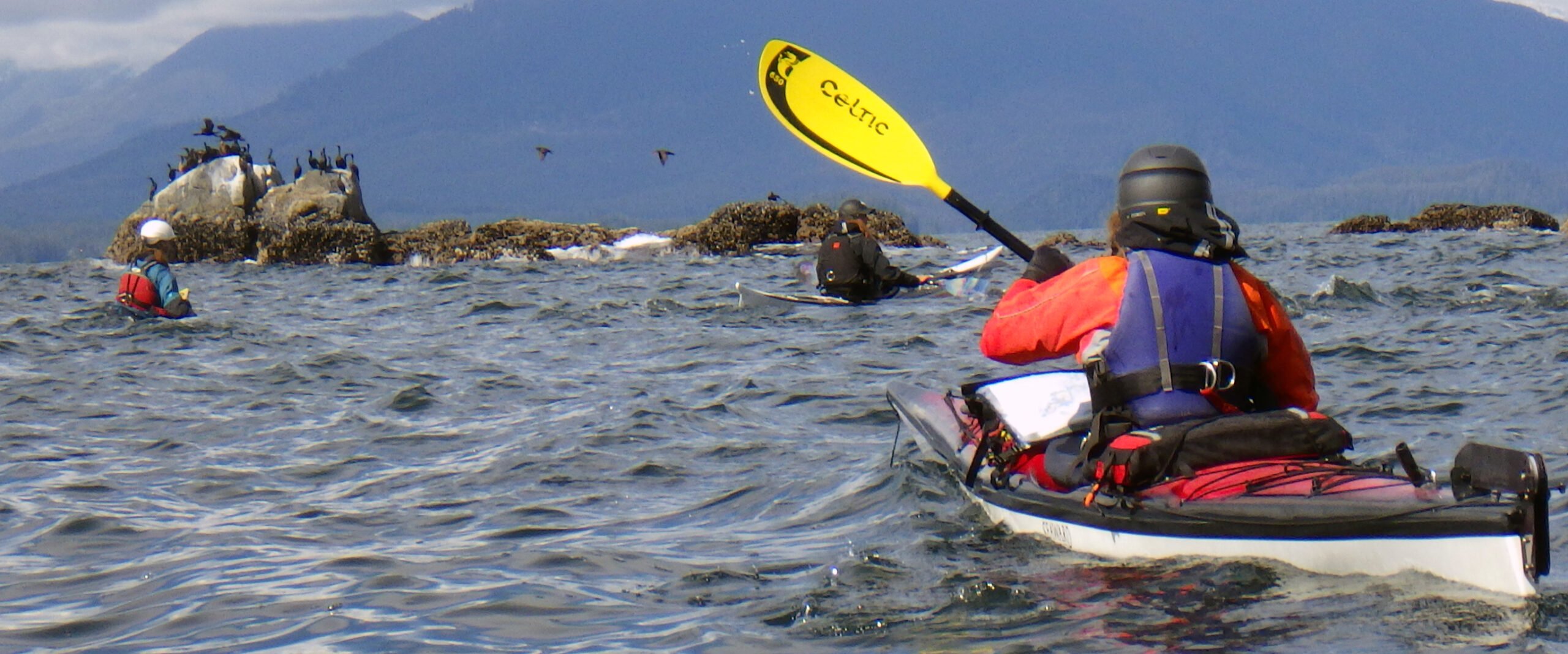 Level_2_deer_group_banner_2