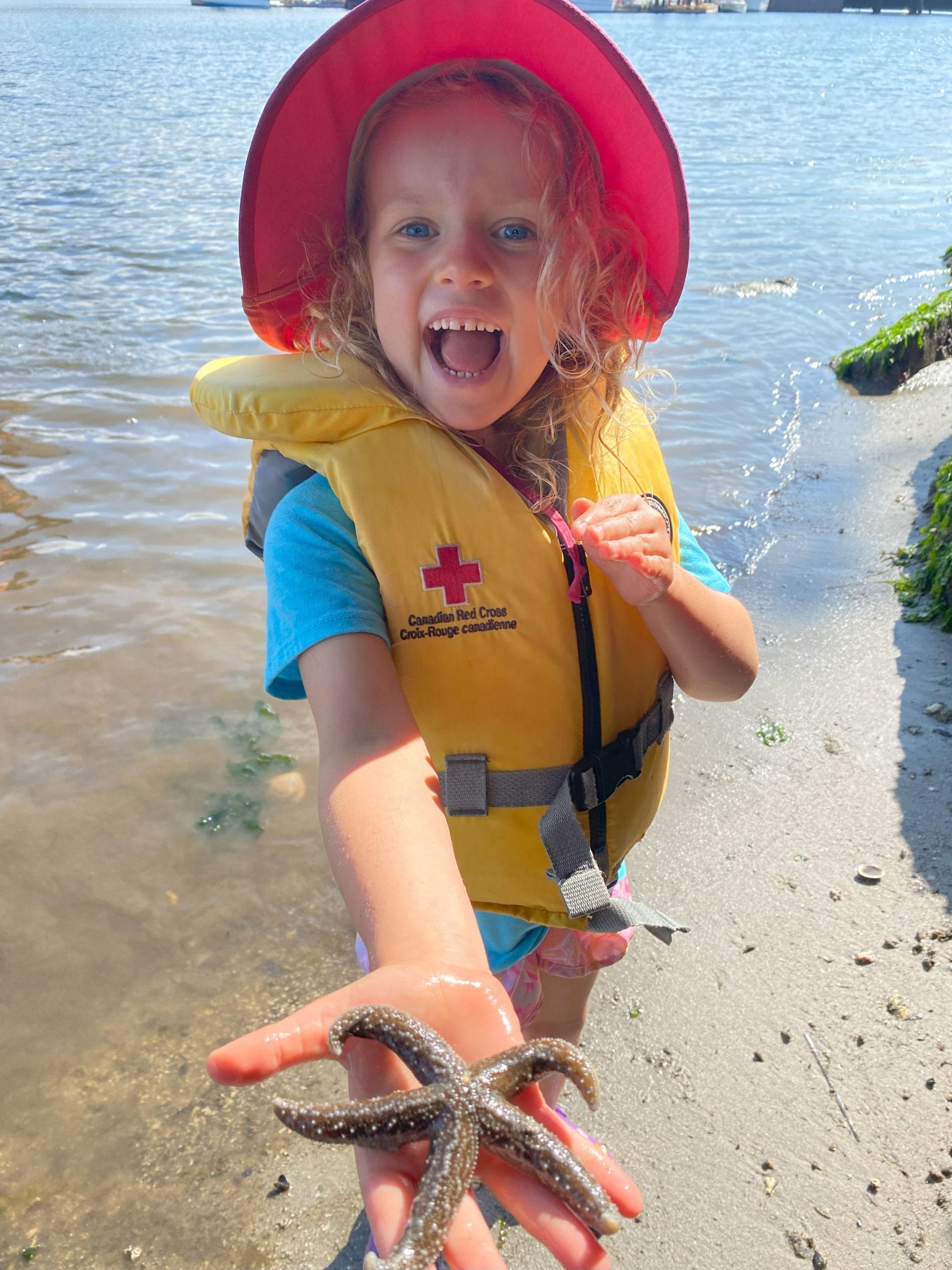 child-holding-sea-star